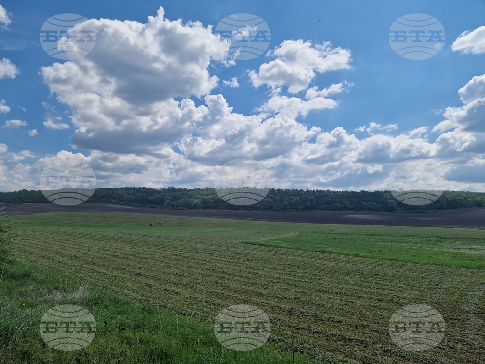 Прогноза за времето