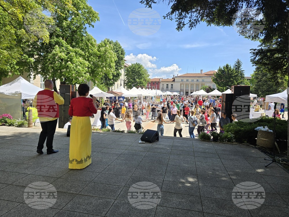 Враца - Българско сирене и млечни продукти - фестивал