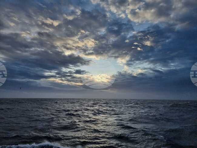 Земетресение с магнитуд 7,5 бе регистрирано в протока Дрейк