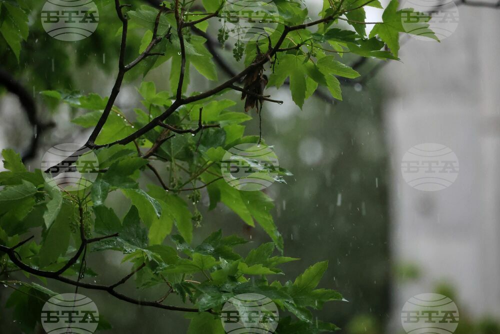 The Weather on May 24-25
