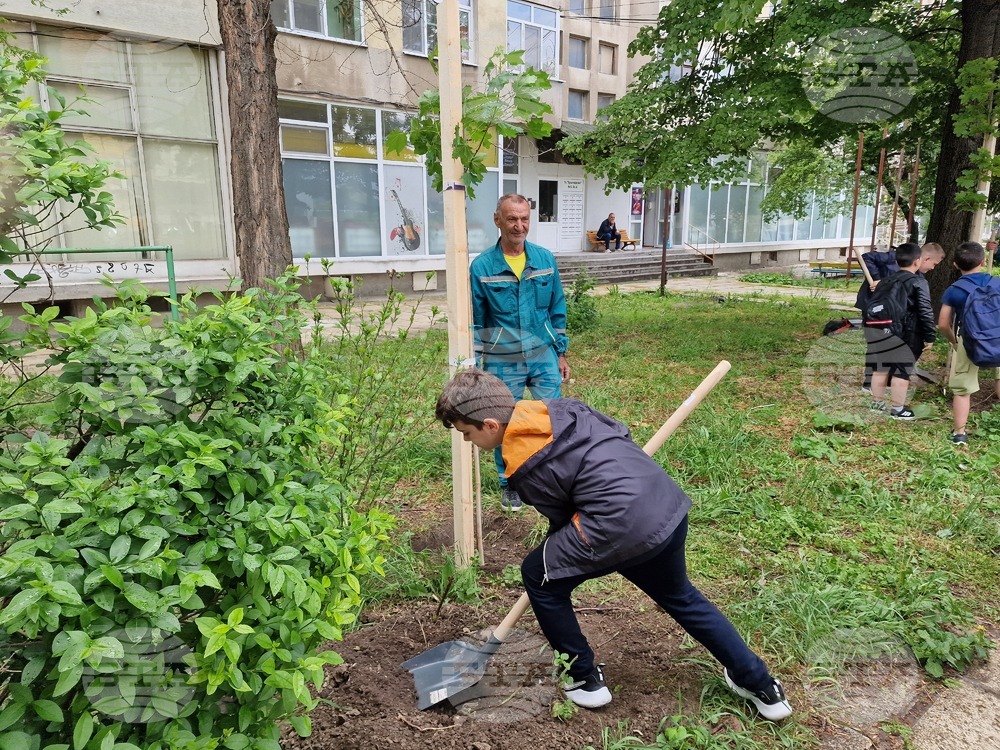 Разград - засаждане на дръвчета