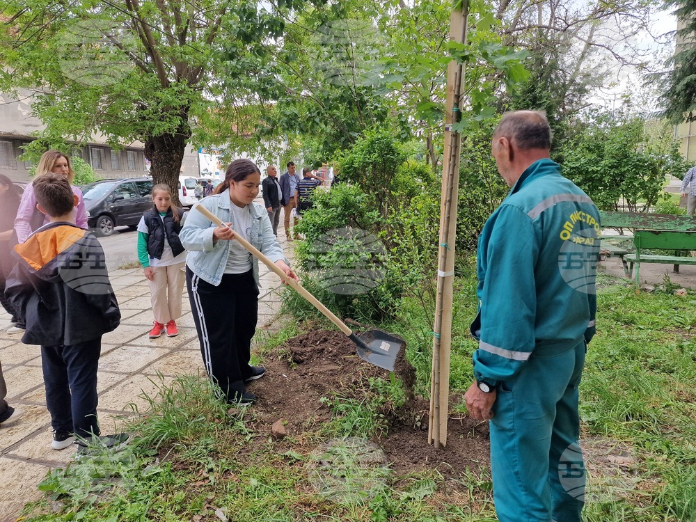 Разград - засаждане на дръвчета