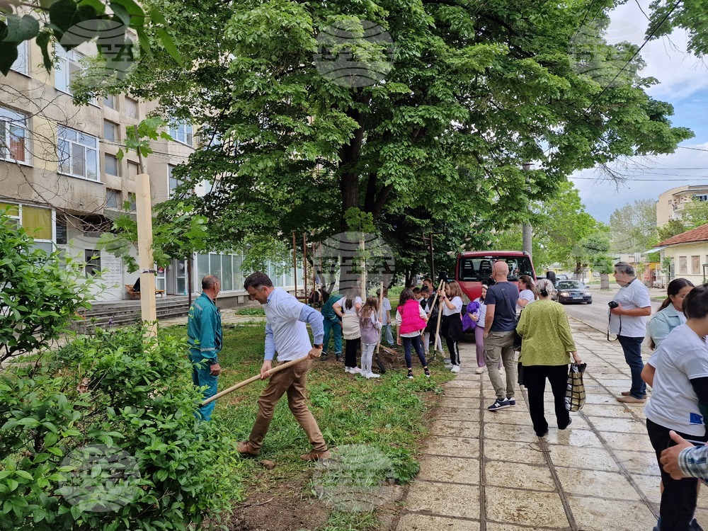 Разград - засаждане на дръвчета