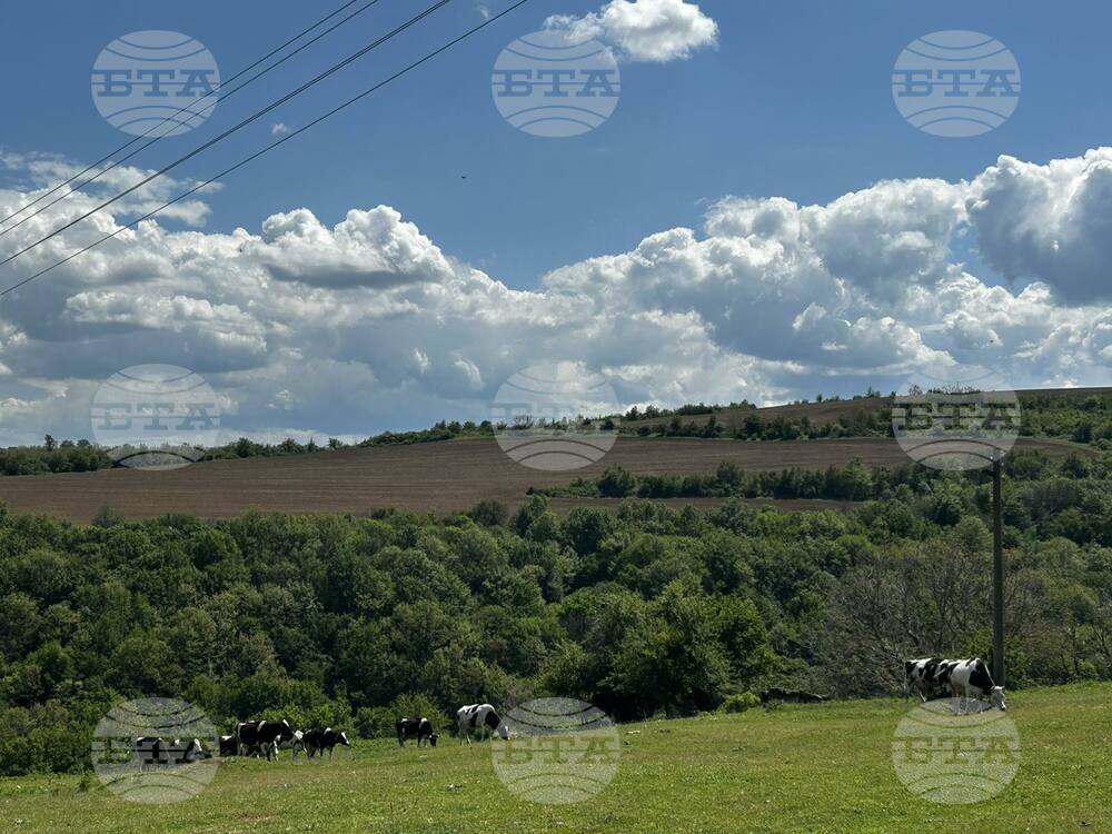 Прогноза за времето
