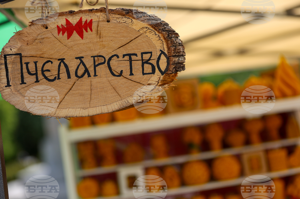 Благоевград - Занаят фест