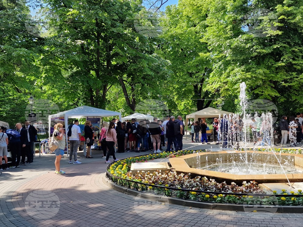 Свищов - Панорама на образованието