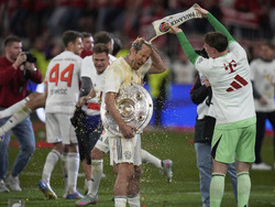 Germany Soccer Bundesliga