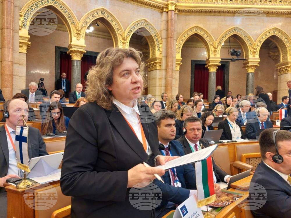 Parliament Leader Kiselova: EU's Strength Lies in Its Ability to Reform Itself