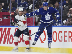 Panthers Maple Leafs Hockey