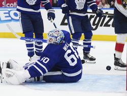 Panthers Maple Leafs Hockey