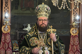 Видин - митрополит Пахомий - литургия