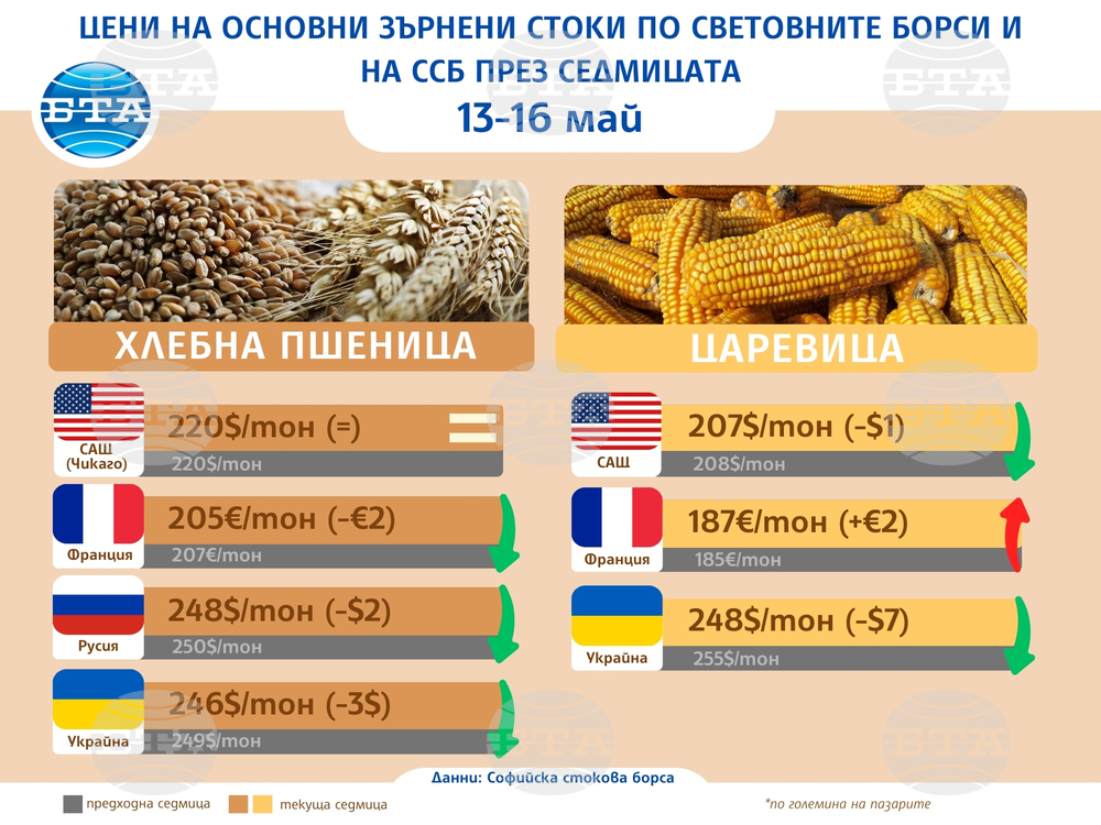 Минимални промени в цените на основните зърнени култури по световните борси отчитат експертите на Софийската стокова борса