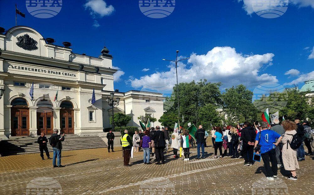 Протест в подкрепа на българския лев