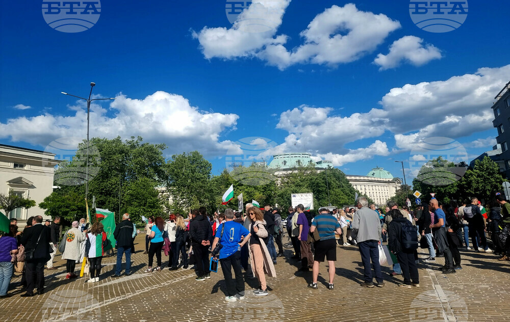 Протест в подкрепа на българския лев