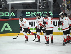 Sweden Hockey Worlds
