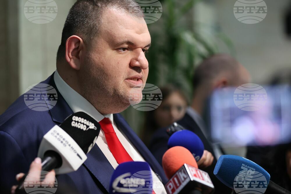 Парламент - Делян Пеевски - изявление