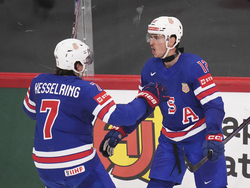 Sweden Hockey Worlds