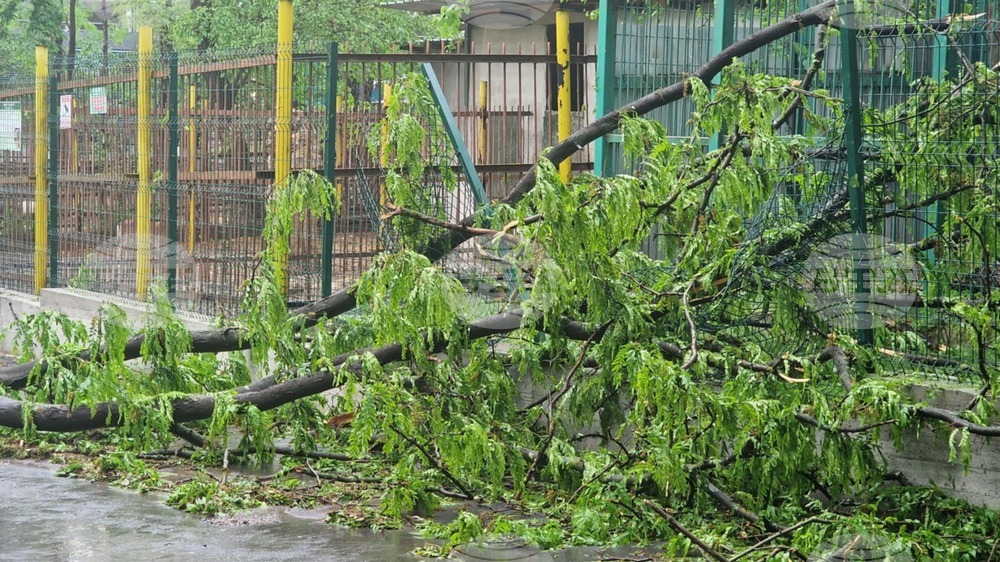 В област Разград три села, както и част от град Цар Калоян, са без електрозахранване вследствие на бурята