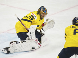 Sweden Hockey Worlds