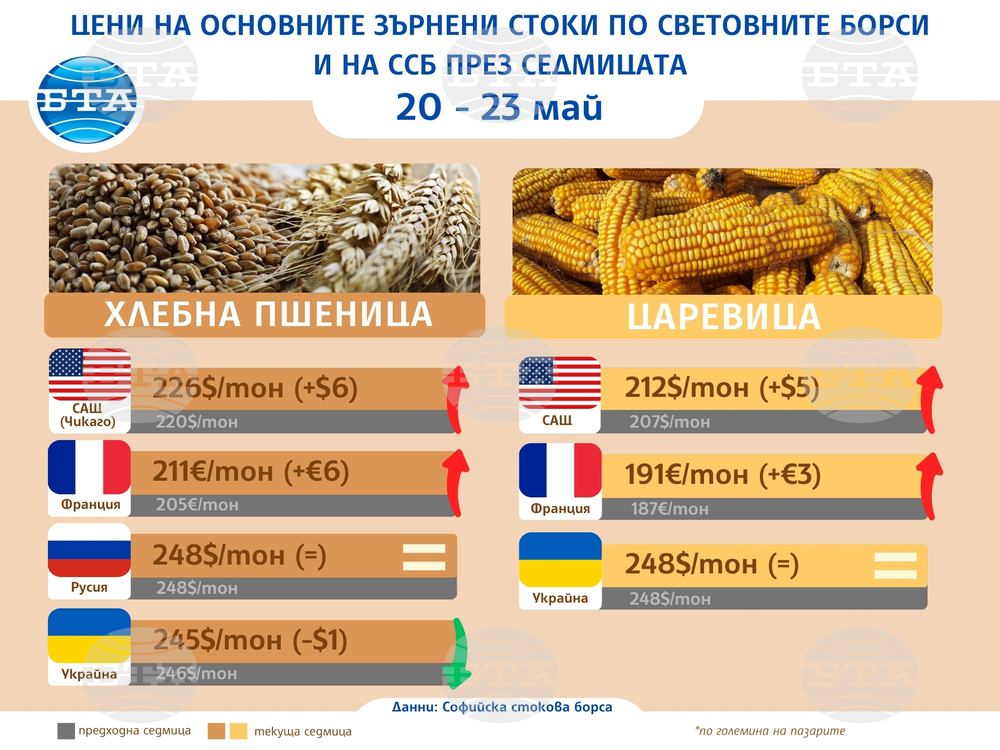 Леко поскъпване на основните зърнени култури по световните борси отчитат експертите на Софийската стокова борса