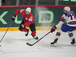 Sweden Hockey Worlds