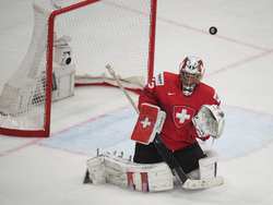 Sweden Hockey Worlds