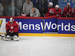 Sweden Hockey Worlds