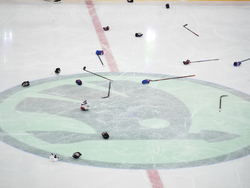 Sweden Hockey Worlds