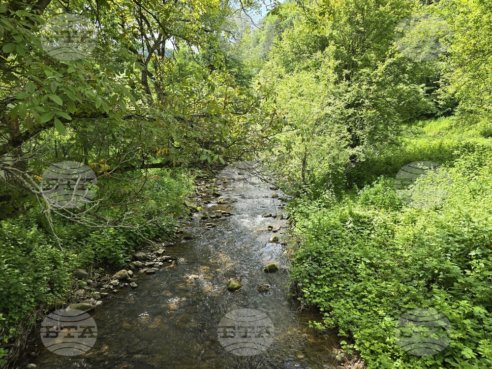 Прогноза за времето