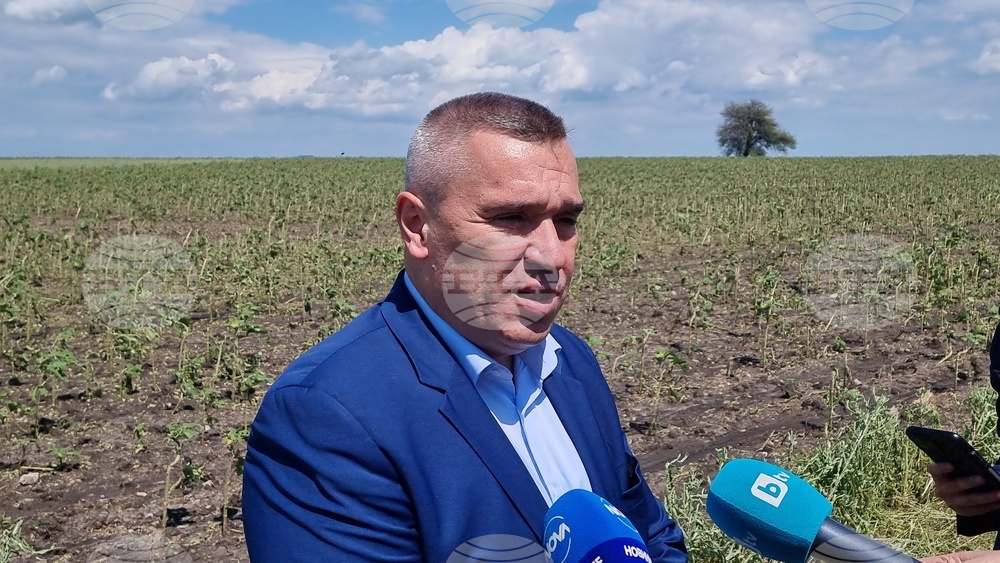 Министърът на земеделието посети пострадалото от градушка новозагорско село Бял кладенец