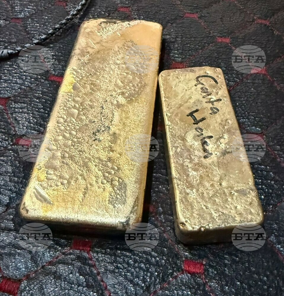 Turkish Citizen Charged with Smuggling Gold Bars at Kapitan Andreevo Border Checkpoint