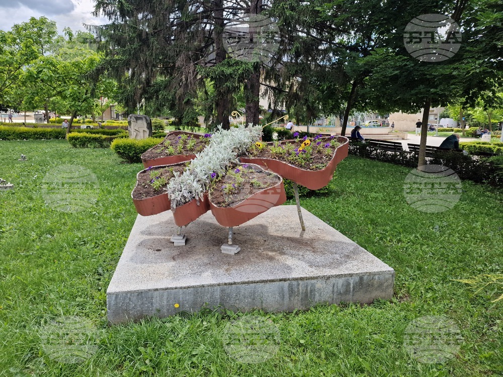Разград - цветя - фигура