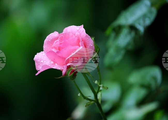 Прогноза за времето