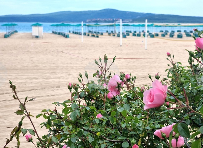 Прогноза за времето