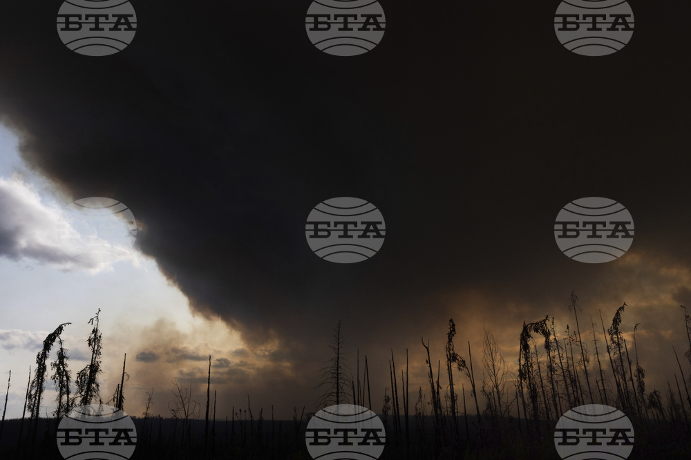 Димът от горските пожари в Канада е видим в Европа, но няма опасност за здравето на населението, казаха учени