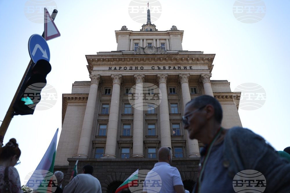 Протест - запазване на българския лев