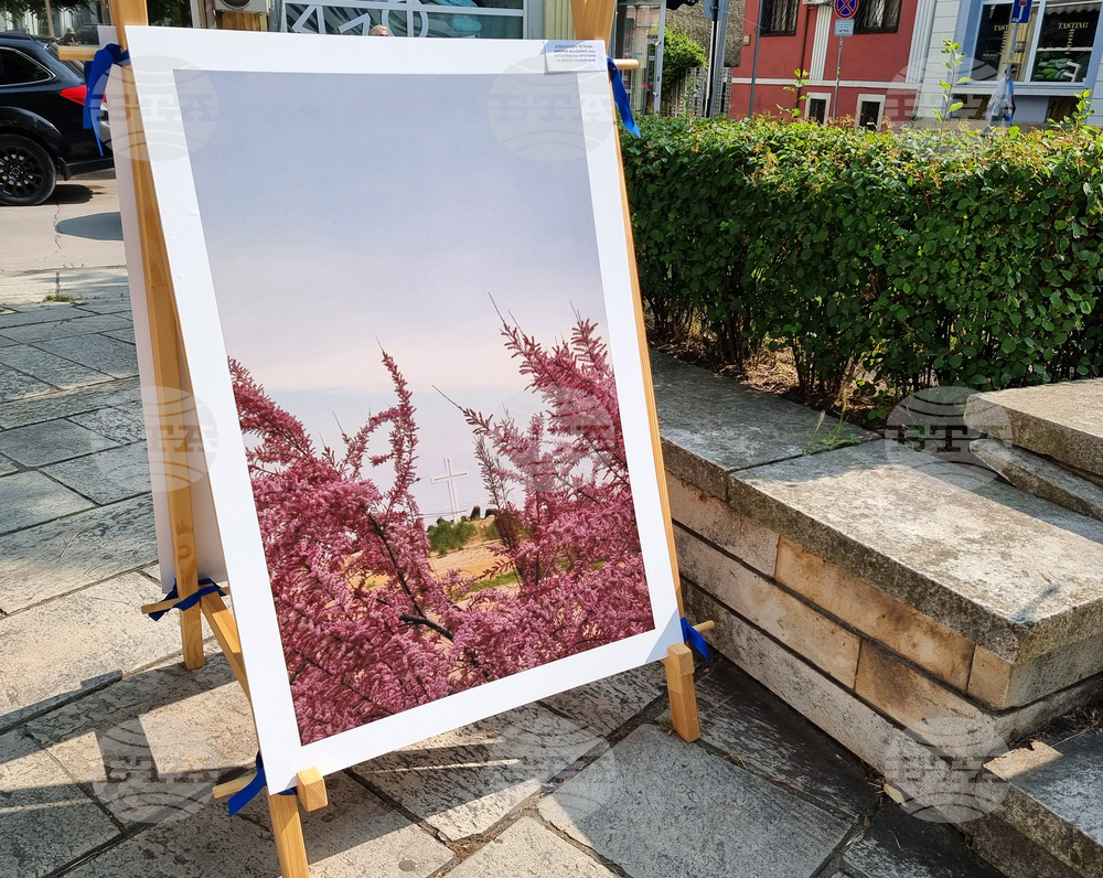 Варна - фондация „Аморфа“ - фотоизложба „Крайбрежие“
