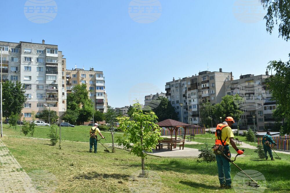 Продължава косенето на зелени площи в Разград, в някои участъци се коси за пети път
