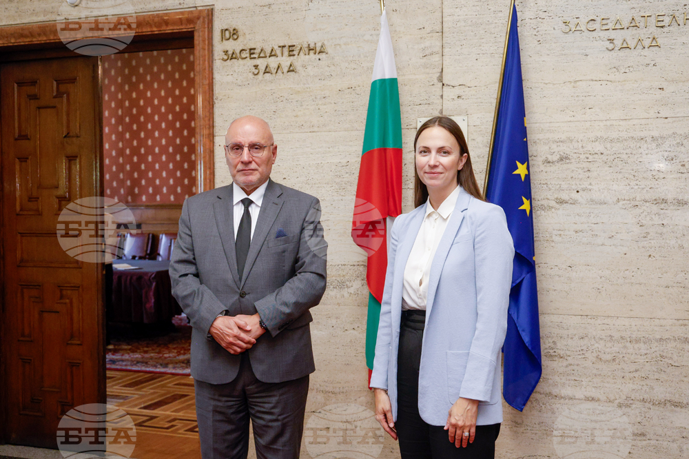 BNB Governor Radev Discusses Bulgaria's Progress to the Eurozone with MEP Maydell