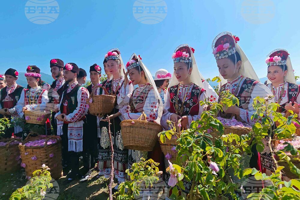 Bulgarian and International Visitors Attend Rose-Picking Ritual Near Kazanlak