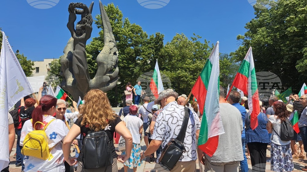 Пловдив - протест - евро