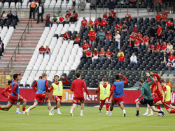 Belgium Wales WCup Soccer