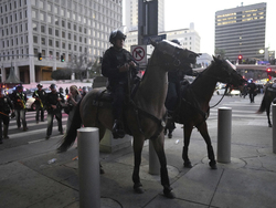 Immigration Raids Los Angeles