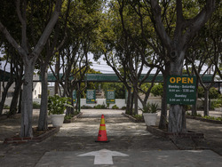 Immigration Raids Los Angeles