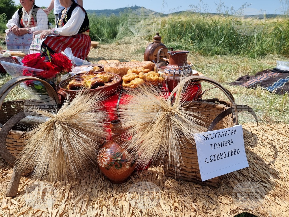 Село Търнава - откриване на жътвената кампания