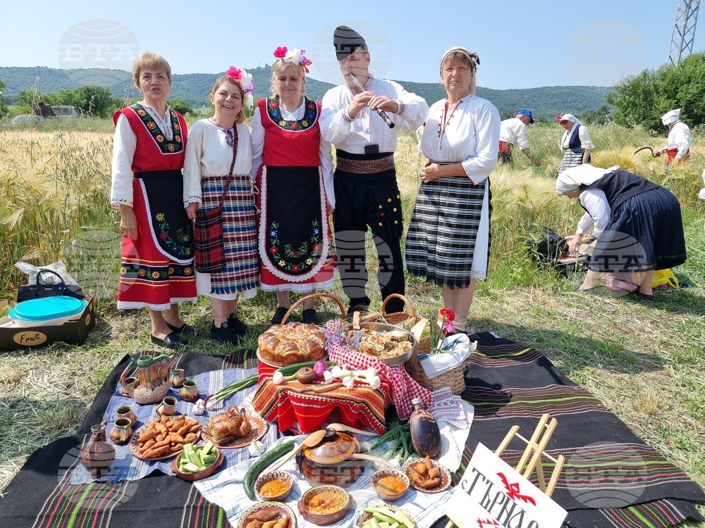 Село Търнава - откриване на жътвената кампания