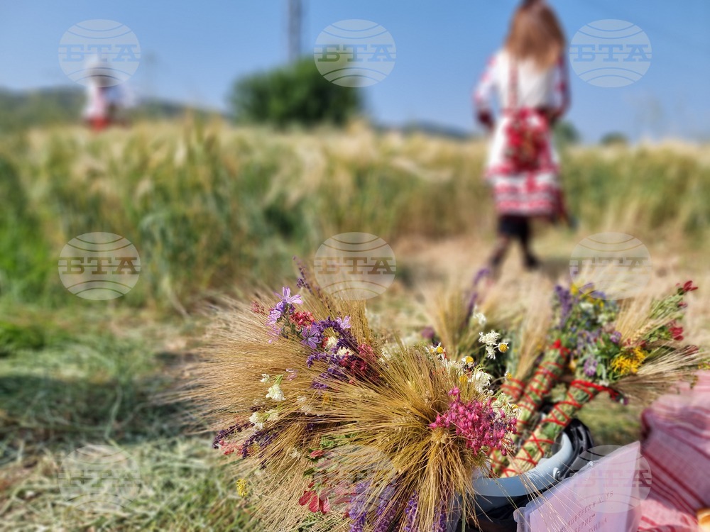 Село Търнава - откриване на жътвената кампания