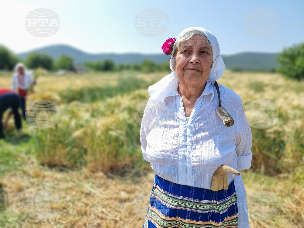 Село Търнава - откриване на жътвената кампания