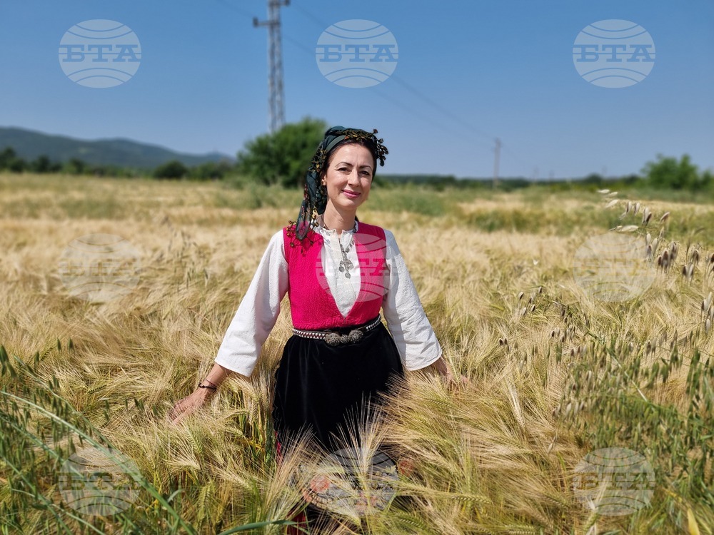 Село Търнава - откриване на жътвената кампания
