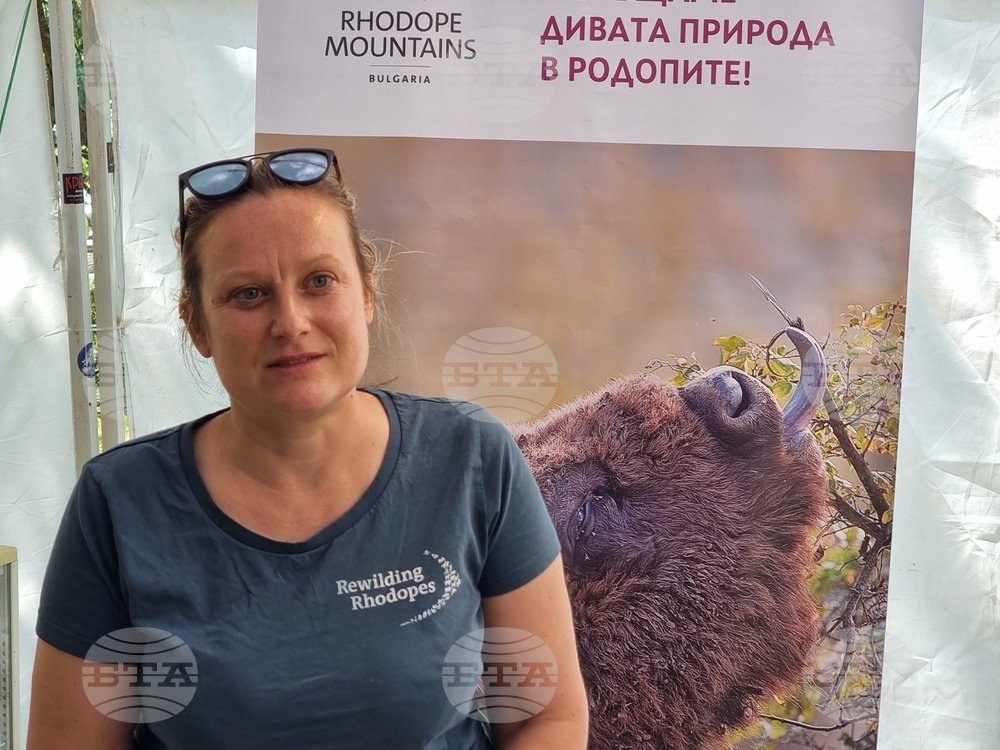 В Източните Родопи са се родили три нови зубърчета